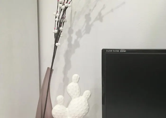 Apartament Black And White