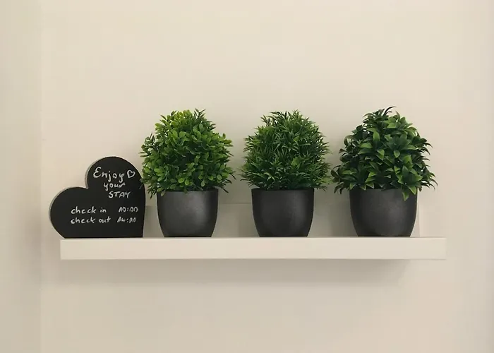 Apartament Black And White *