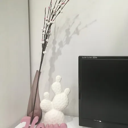 شقة Black And White